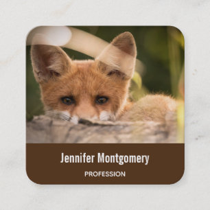 Photo of a Cute Little Orange Fox Square Business Card