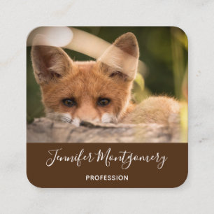 Photo of a Cute Little Orange Fox Square Business Card