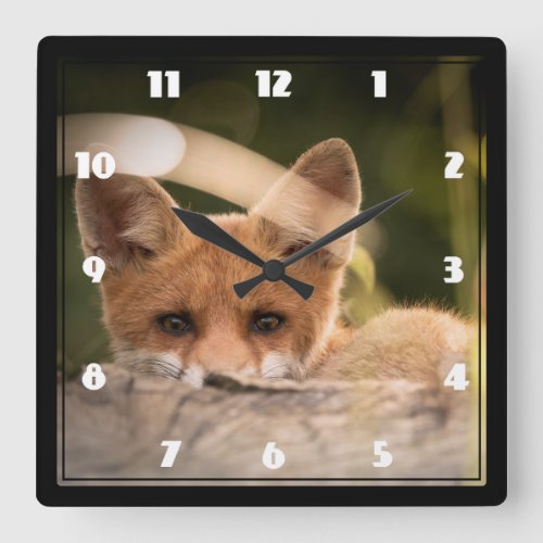 Photo of a Cute Little Orange Fox Square Wall Clock