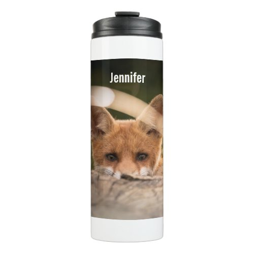 Photo of a Cute Little Orange Fox Stainless Steel  Thermal Tumbler