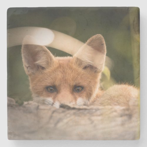 Photo of a Cute Little Orange Fox Stone Coaster