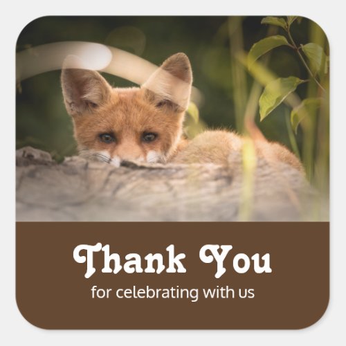 Photo of a Cute Little Orange Fox Thank You Square Sticker