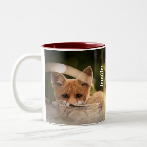 Photo of a Cute Little Orange Fox Two_Tone Coffee Mug