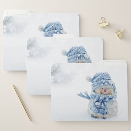 Photo of a Cute Snowman in Winter _ Christmas File Folder