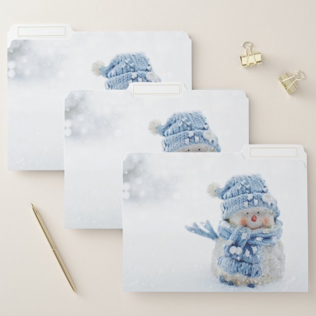 Photo of a Cute Snowman in Winter - Christmas File Folder (Set)