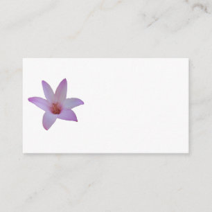 Photo of a delicate pink rain lily on an enclosure card