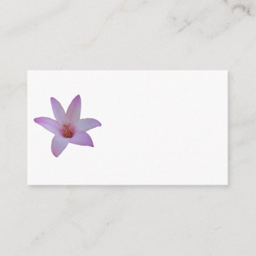Photo of a delicate pink rain lily on an enclosure card