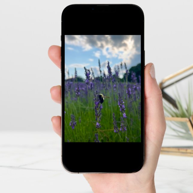 Photo of a Flower from New England Blank Greeting  Card (Front Digital)