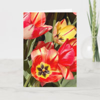 Photo of a Flower from New England Blank Greeting 