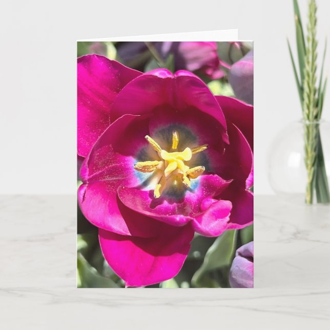 Photo of a Flower from New England Blank Greeting  Card (Front)