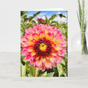 Photo of a Flower from New England Blank Greeting Card