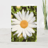 Photo of a Flower from New England Blank Greeting