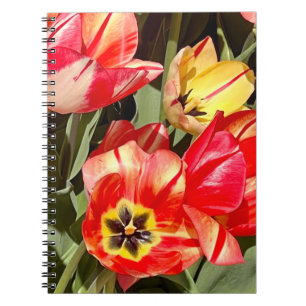 Photo of a Flower from New England  Notebook