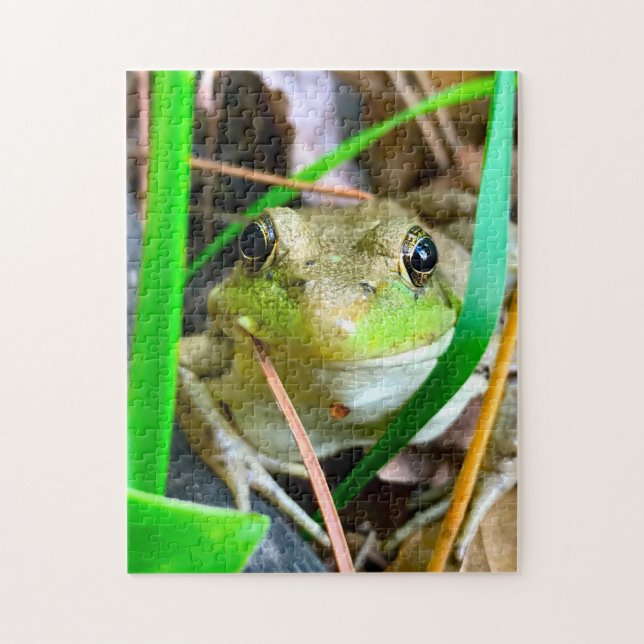 Photo of a Frog Minnesota. Jigsaw Puzzle (Vertical)