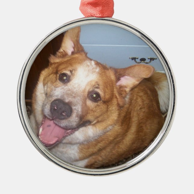 Photo of a Happy Dog Metal Ornament (Front)