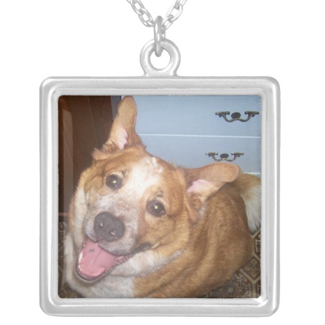 Photo of a Happy Red Queensland Heeler Dog Silver Plated Necklace (Front)