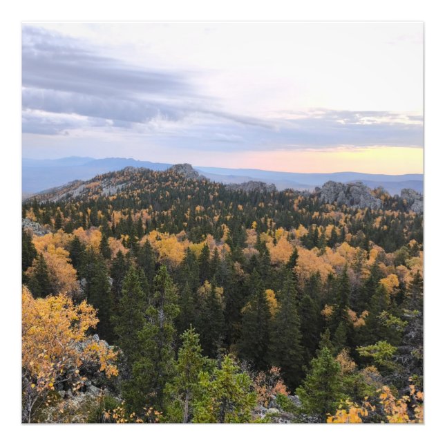 photo of a mountainous autumn forest, mountains, p print (Front)