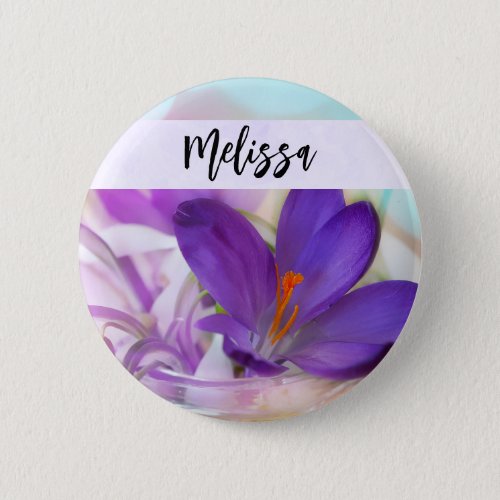 Photo of a Pretty Purple Spring Crocus Button