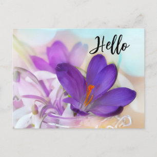Photo of a Pretty Purple Spring Crocus Hello Holiday Postcard