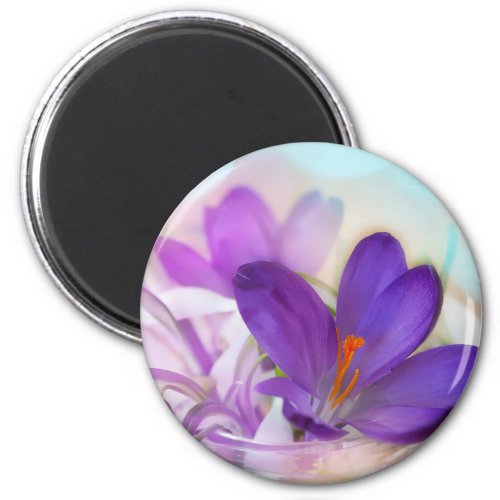 Photo of a Pretty Purple Spring Crocus Magnet