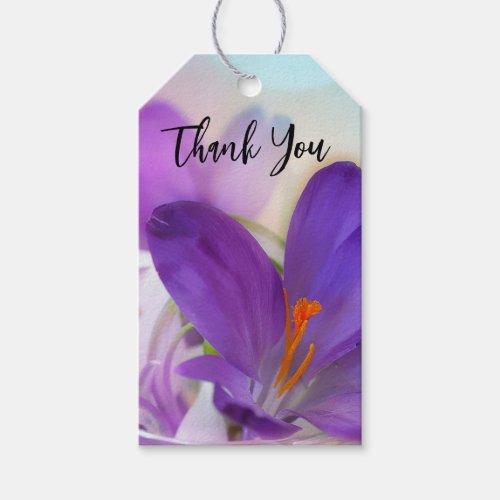Photo of a Pretty Purple Spring Crocus Thank You Gift Tags