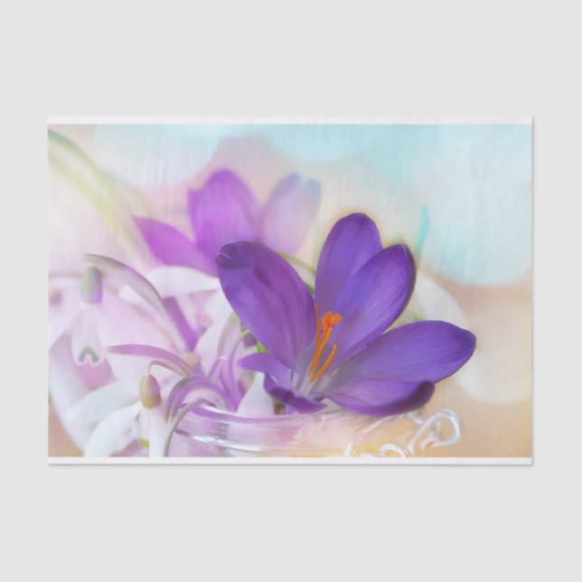 Photo of a Pretty Purple Spring Crocus Tissue Paper (Front)