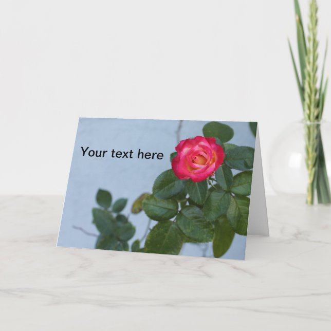 Photo of a Rose against a gray wall on a note card (Front)