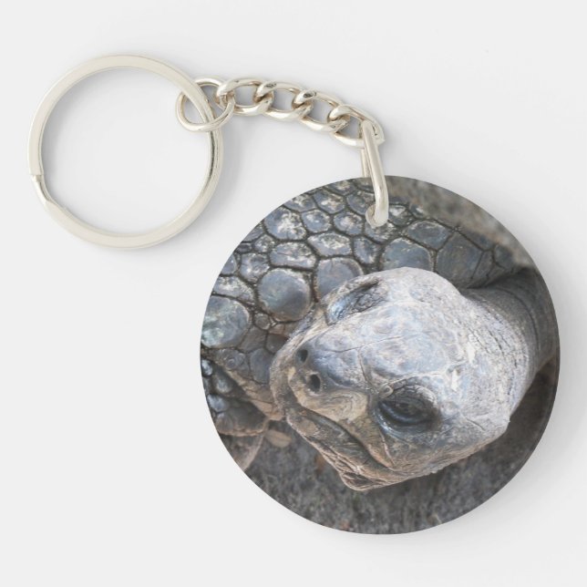 Photo of a tortoise face on a keychain (Front)