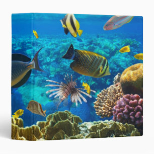 Photo of a tropical Fish on a coral reef 3 Ring Binder