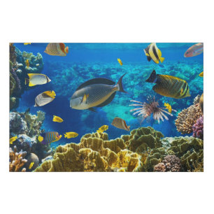 Photo of a tropical Fish on a coral reef Faux Canvas Print