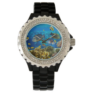 Photo of a tropical Fish on a coral reef Watch