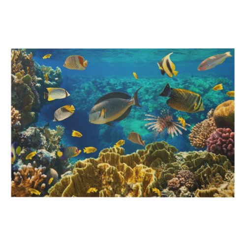 Photo of a tropical Fish on a coral reef Wood Wall Art