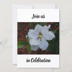 Photo of a white gardenia blossom up close on an invitation