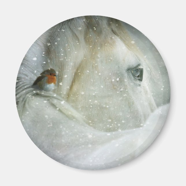 Photo of a White Horse and Bird in Winter Magnet (Front)