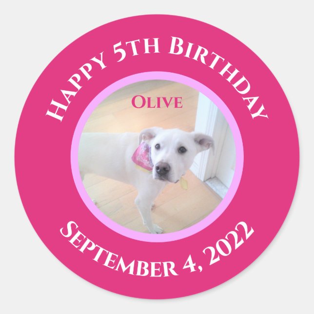 Photo of Adorable Puppy Dog Wearing Hot Pink Scarf Classic Round Sticker (Front)