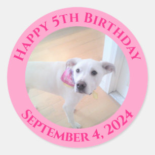 Photo of Adorable Puppy Dog Wearing Scarf Birthday Classic Round Sticker