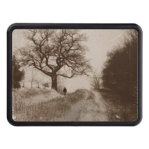 photo of atmospheric winter snow scene hitch cover