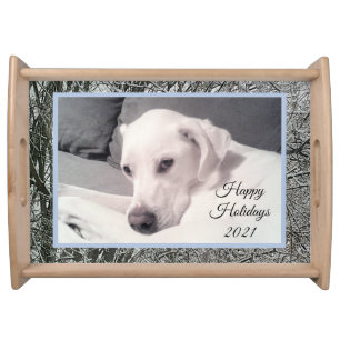 Photo of Beautiful Dog With Winter Snow Background Serving Tray