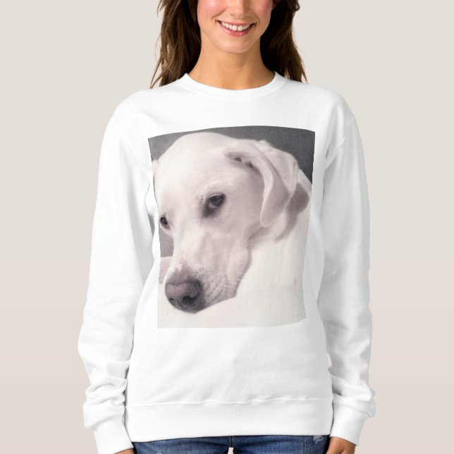 Photo of Beautiful Regal White Dog Sweatshirt (Front)