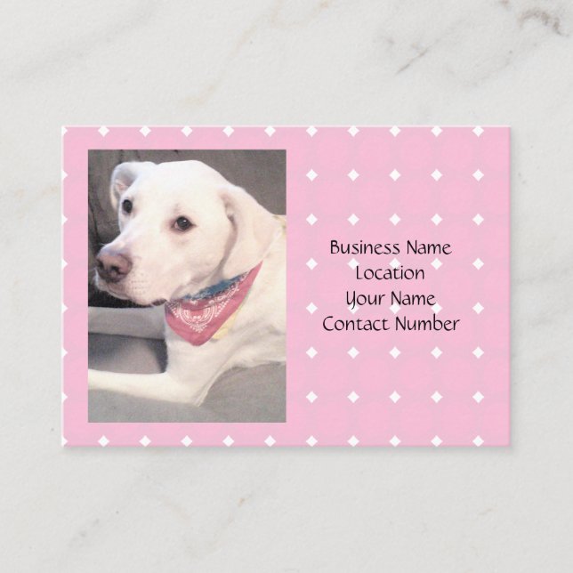 Photo of Beautiful Stylish White Dog Wearing Scarf Business Card (Front)