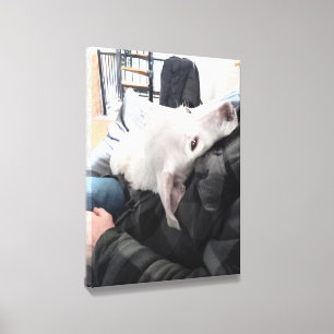 Photo of Beautiful White Dog with Dad Father's Day Canvas Photo Tile