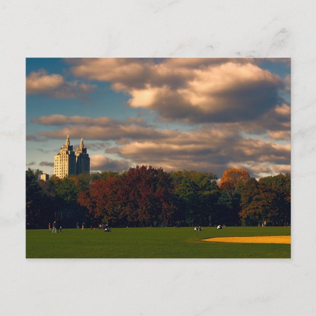 Photo of Central Park in New York City Postcard (Front)