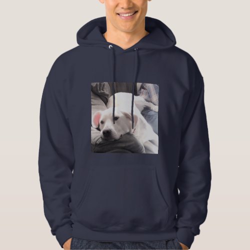 Photo of Cute Couch Potato Dog With Dad Navy Blue Hoodie