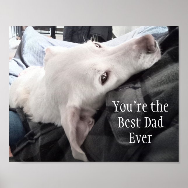 Photo of Cute Dog Best Dad Ever Poster (Front)