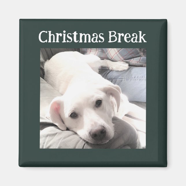 Photo of Cute Dog Christmas Break Green Magnet (Front)