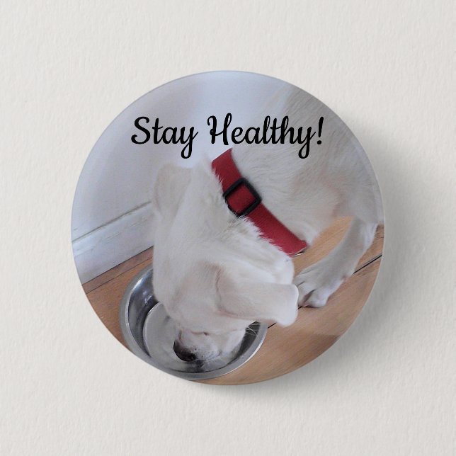 Photo of Cute Dog Drinking Water Motivational Button (Front)