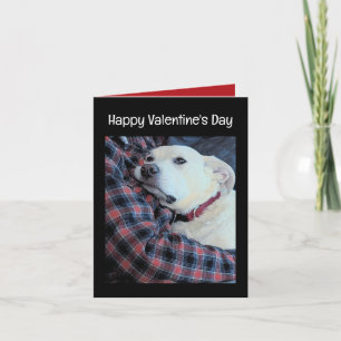 Photo of Cute Dog Hugging Dad Valentine's Day Holiday Card
