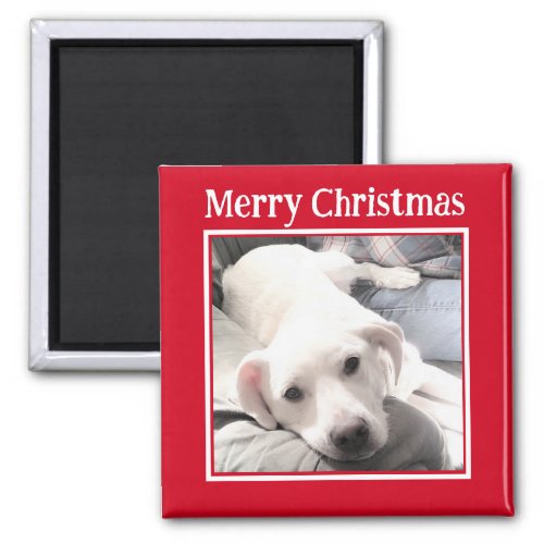 Photo of Cute Dog Merry Christmas Red Magnet