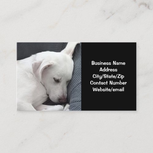 Photo of Cute Dog Sleeping Black and White Business Card