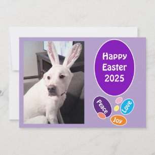Photo of Cute Dog Wearing Bunny Ears Easter Eggs Holiday Card